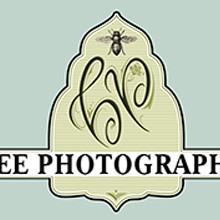 Bee Photographed, branding, illustration, print